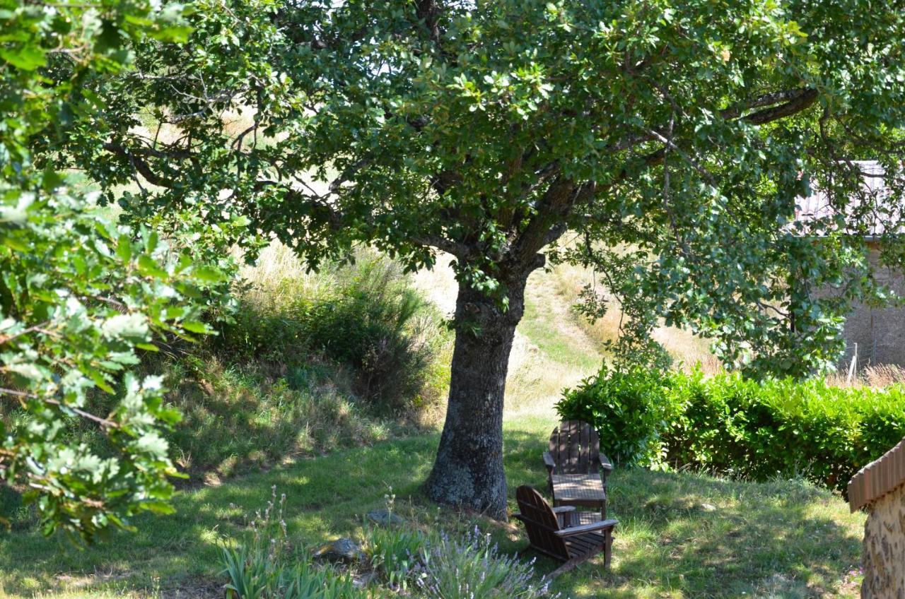 Saint-Romain-de-Lerps Gites Le Chene & Le Tilleul חדר תמונה